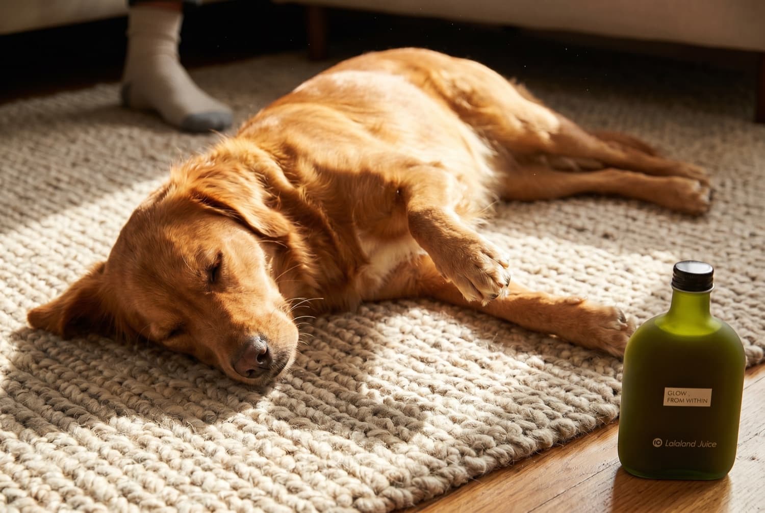 A dog asleep in a sunbeam on a woven rug beside a Lalaland bottle