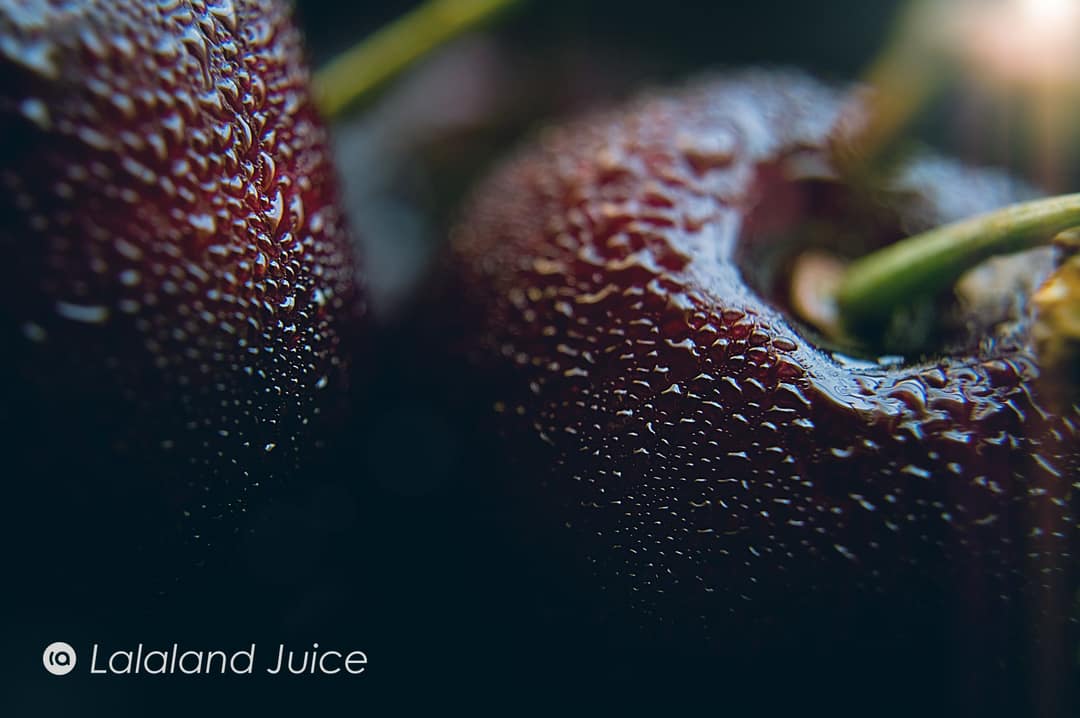 Deep-red cherries beaded with cold water in low light — the tart-cherry nightcap, close up.