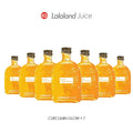 Curcumin Glow Team Pack